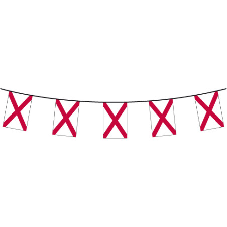 Guirlandes des états d'amériqueen maille 10 m