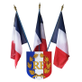 Ecusson porte-drapeaux Tricolore RF + Palmes