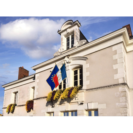 Drapeau de façade R.F. et palmesDrapeau de façade RF & palmes + Liberté Egalité Fraternité
