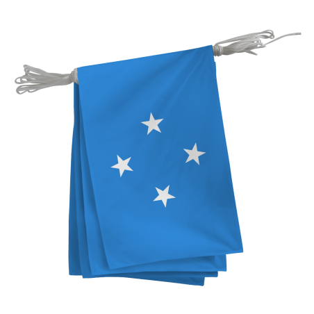 Guirlande Micronésie