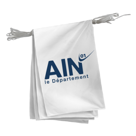 Guirlande du Conseil Départemental de l'Ain