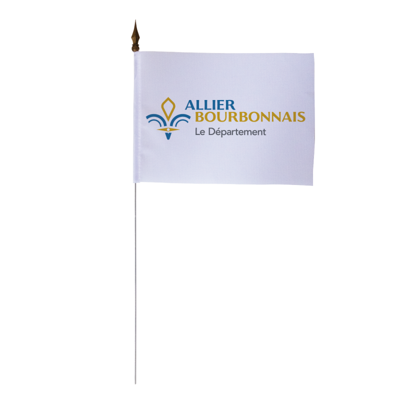 Drapeau de table du Conseil Départemental de l'Allier 10x15 cm
