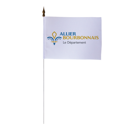 Drapeau de table du Conseil Départemental de l'Allier 10x15 cm
