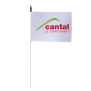 Drapeau de table du Conseil Départemental du Cantal 10x15 cm