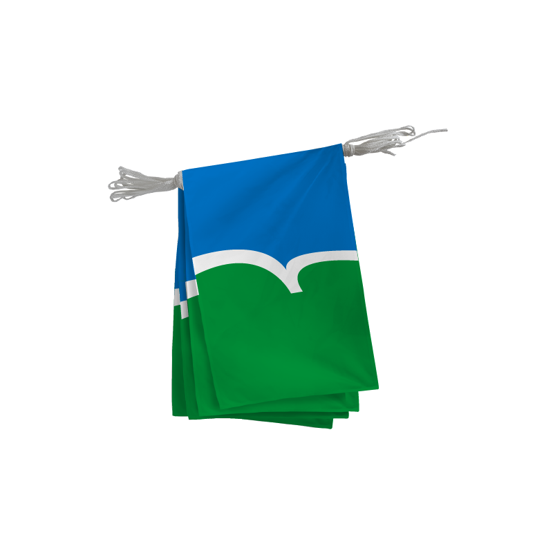 Guirlande du Conseil Départemental des Côtes d'Armor