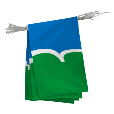 Guirlande du Conseil Départemental des Côtes d'Armor