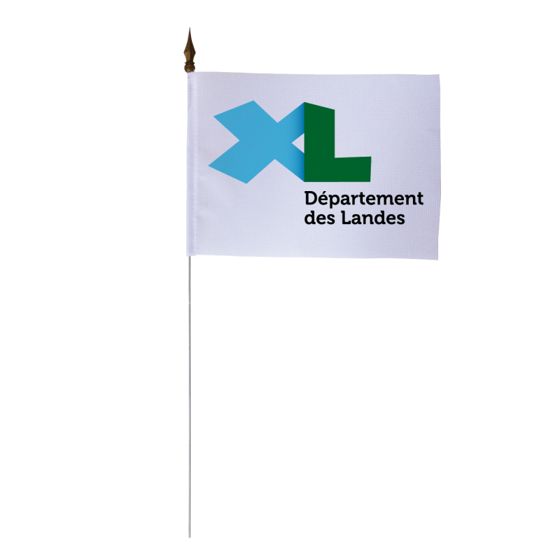Drapeau de table du Conseil Départemental des Landes 10x15 cm