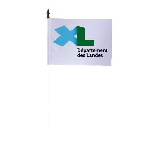 Drapeau de table du Conseil Départemental des Landes 10x15 cm