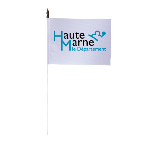 Drapeau de table du Conseil Départemental de la Haute-Marne 10x15 cm 
