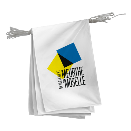 Guirlande du Conseil Départemental de Meurthe-et-Moselle 