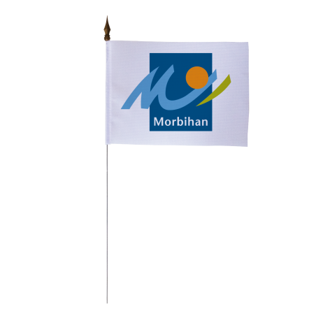 Drapeau de table du Conseil Départemental du Morbihan 10x15 cm