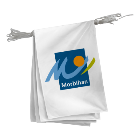 Guirlande du Conseil Départemental du Morbihan 