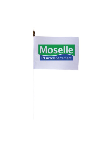 Drapeau de table du Conseil Départemental de la Moselle 10x15 cm 