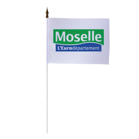 Drapeau de table du Conseil Départemental de la Moselle 10x15 cm 
