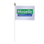 Drapeau de table du Conseil Départemental de la Moselle 10x15 cm 
