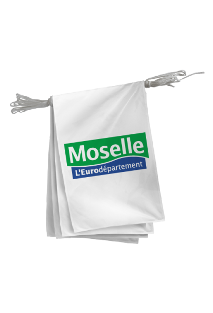 Guirlande du Conseil Départemental de la Moselle