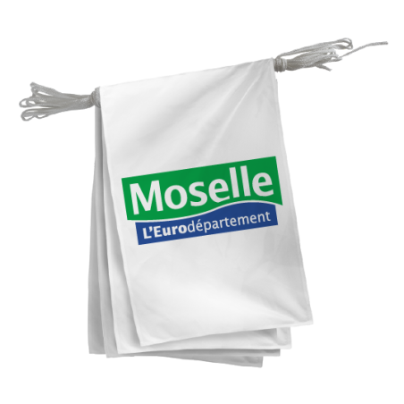 Guirlande du Conseil Départemental de la Moselle