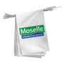Guirlande du Conseil Départemental de la Moselle