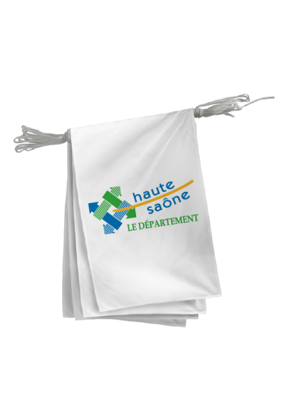 Guirlande du Conseil Départemental  de la Haute-Saône