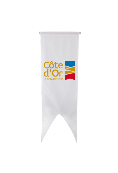Oriflamme du Conseil Départemental de la Côte-d'Or