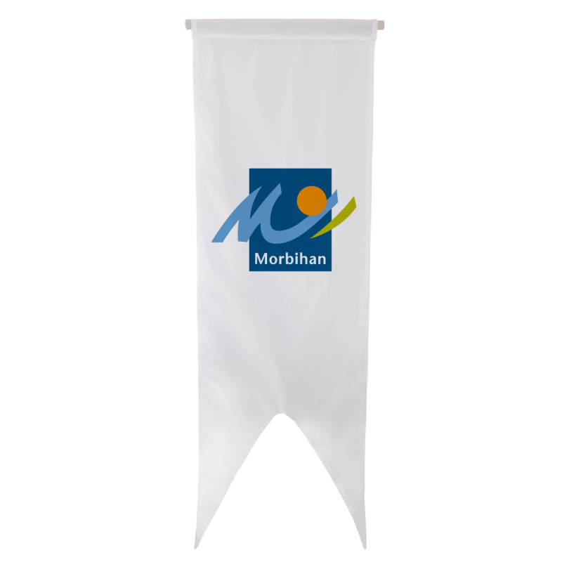 Oriflamme du Conseil Départemental du Morbihan