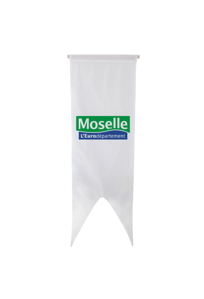 Oriflamme du Conseil Départemental de la Moselle
