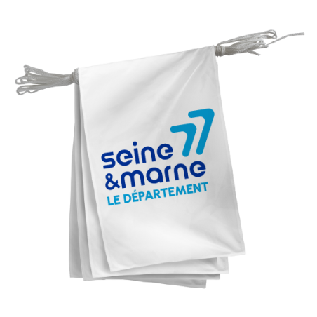 Guirlande du Conseil Départemental de la Seine-et-Marne 