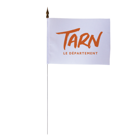 Drapeau de table du Conseil Départemental du Tarn 10x15 cm