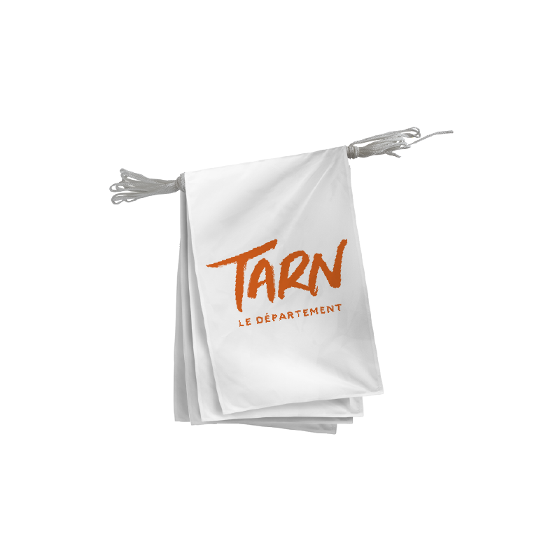 Guirlande du Conseil Départemental du Tarn