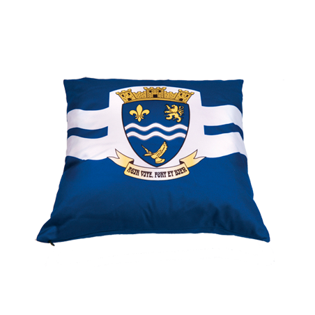 Coussin personnalisé 30x30 cm