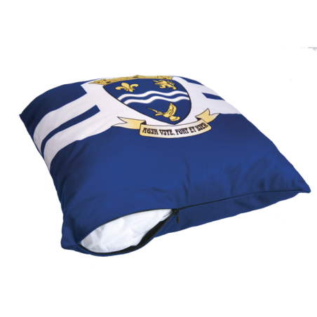 Coussin personnalisé 30x30 cm