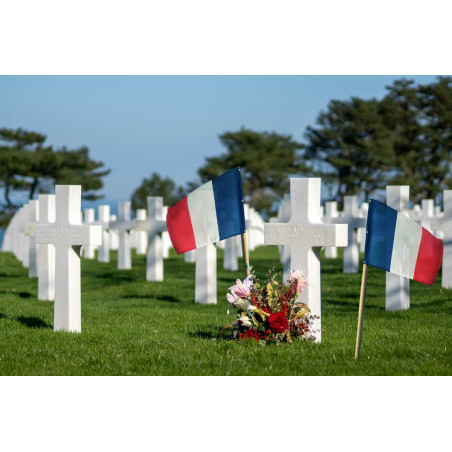 Drapeau Français 20x30 à planter dans le sol