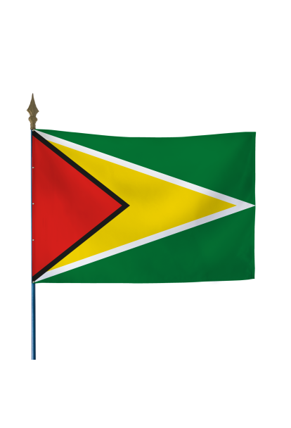 Drapeau du Guyana