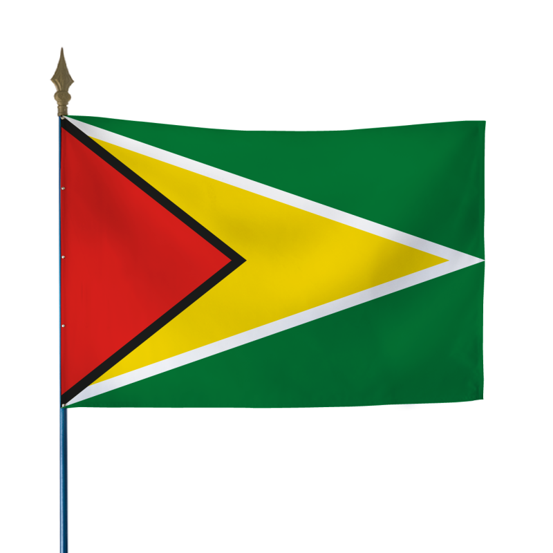 Drapeau du Guyana