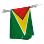 Guirlande du Guyana
