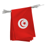 Guirlande de la Tunisie