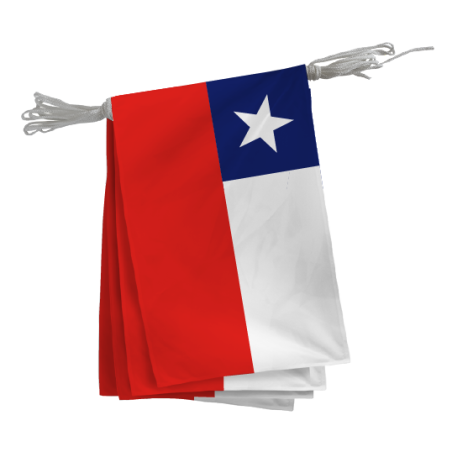 Guirlande Chili - A l'unité