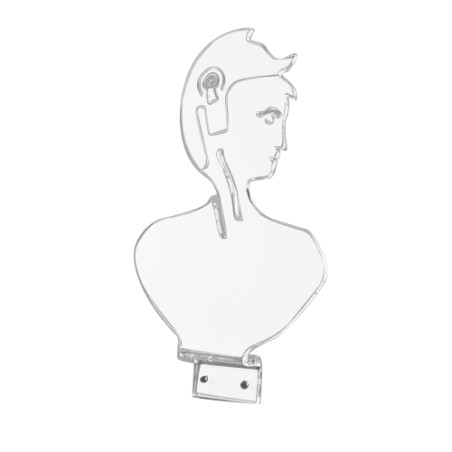 Buste mural en Plexiglas
