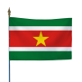 Drapeau Suriname
