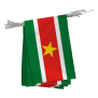 Guirlande Surinam