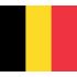 Drapeaux Belgique à agiter 9.5 x 16 cm - Lot de 100