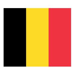 Lot de 100 drapeaux de table Belgique en plastique