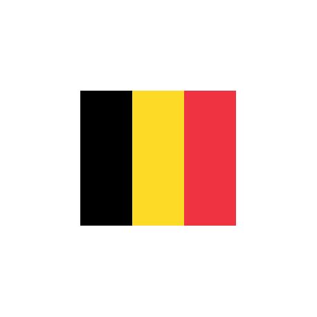 Lot de 100 drapeaux de table Belgique en plastique