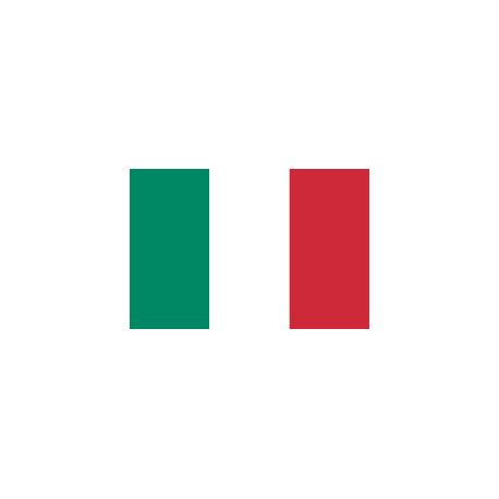 Lot de 100 drapeaux de table Italie en plastique