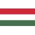 Drapeaux Hongrie à agiter 9.5 x 16 cm - Lot de 100