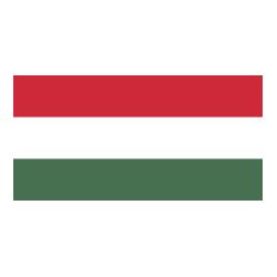Lot de 100 drapeaux de table Hongrie en plastique