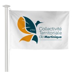 Pavillon Collectivité Territoriale de Martinique