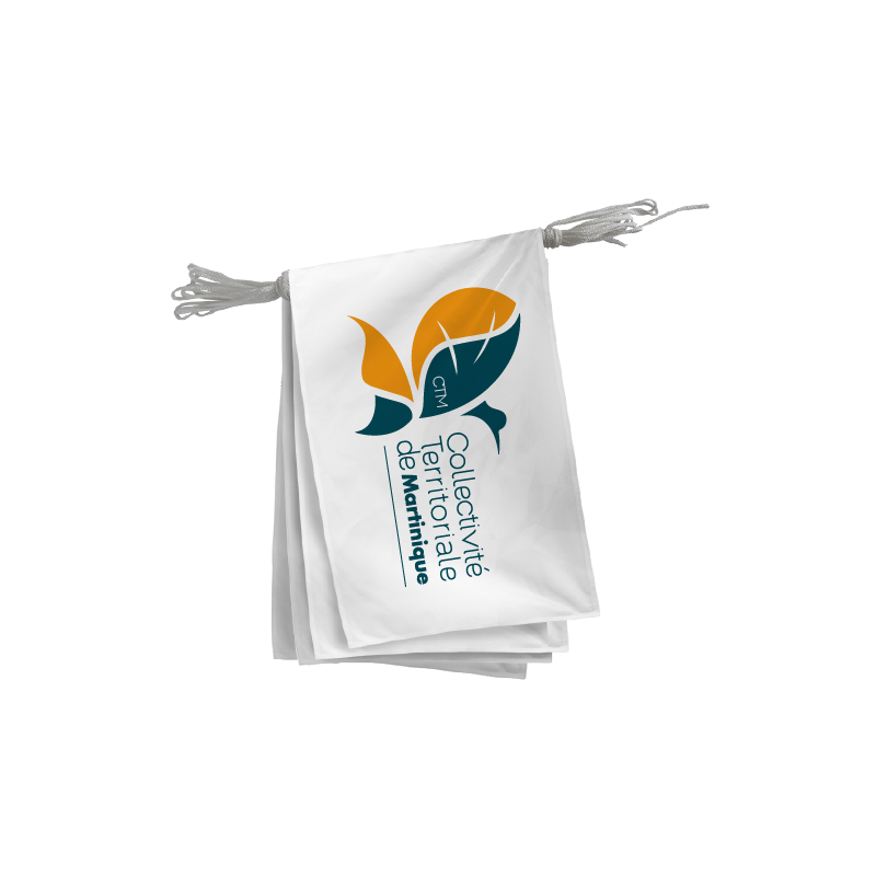 Guirlande Collectivité Territoriale de Martinique