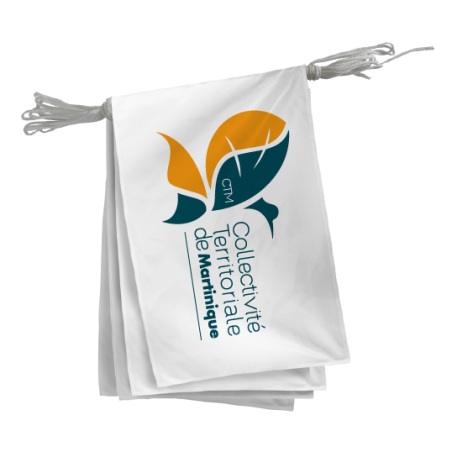 Guirlande Collectivité Territoriale de Martinique