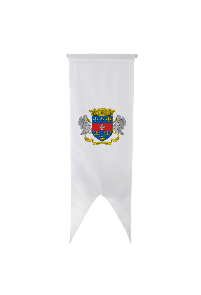 Oriflamme Armoiries Saint-Barthélemy